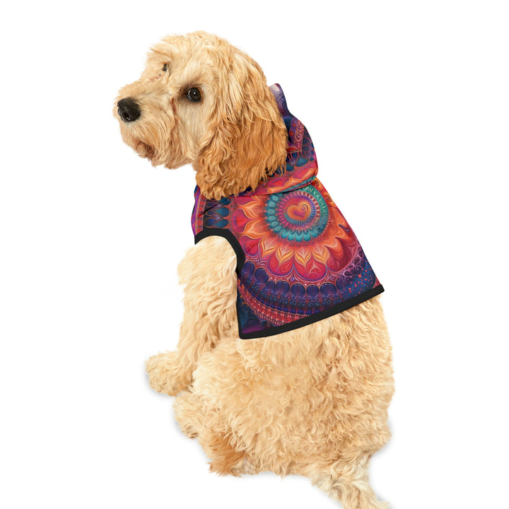 Vibrant Spiral Mandala - Pet Hoodie - Pets - g(0D·IO) - XXS - Black Rib -